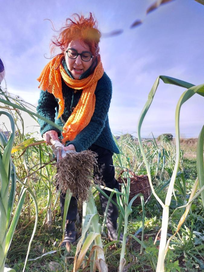 Turismo Rural La Ojinegra Alloza エクステリア 写真